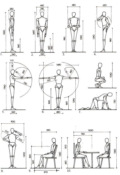 nhan-trac-hoc-trong-thiet-ke-noi-that-giai-phap-cho-khong-gian-song-toi-uu Nhân trắc học trong thiết kế nội thất